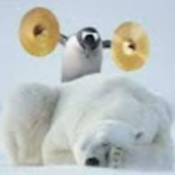 Meet your Posher, Diane - Picture 1 of 1